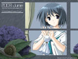 2003 June