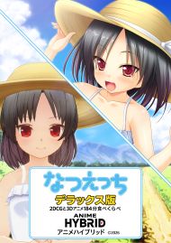 なつえっち　～めいといなかのなつやすみ～ アニメハイブリッドDX版