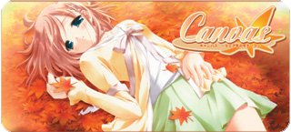 canvas